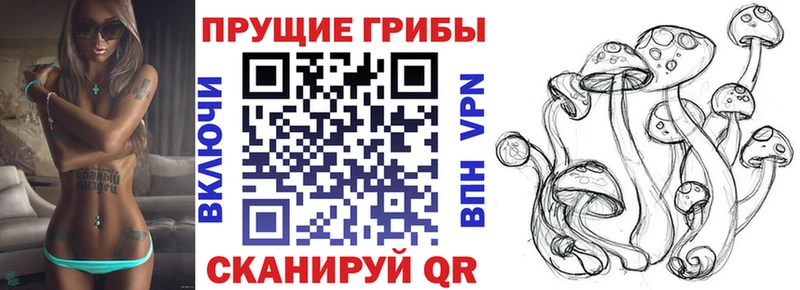Галлюциногенные грибы GOLDEN TEACHER  купить   Туран 
